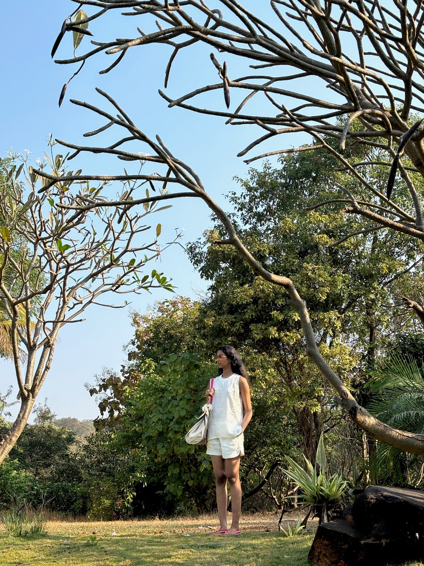 SPRINT Shorts in LINEN